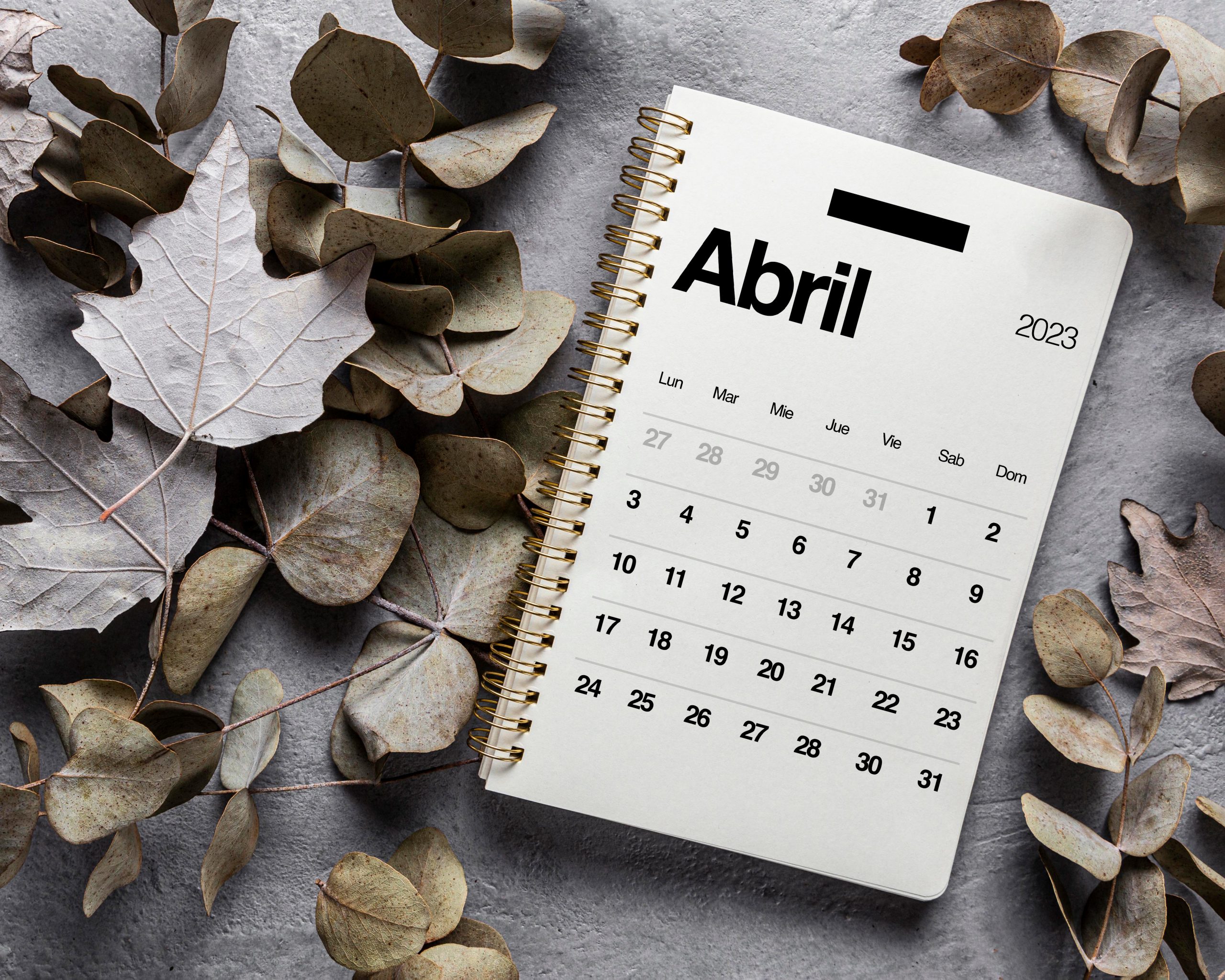 flat-lay-2023-april-calendar-with-leaves